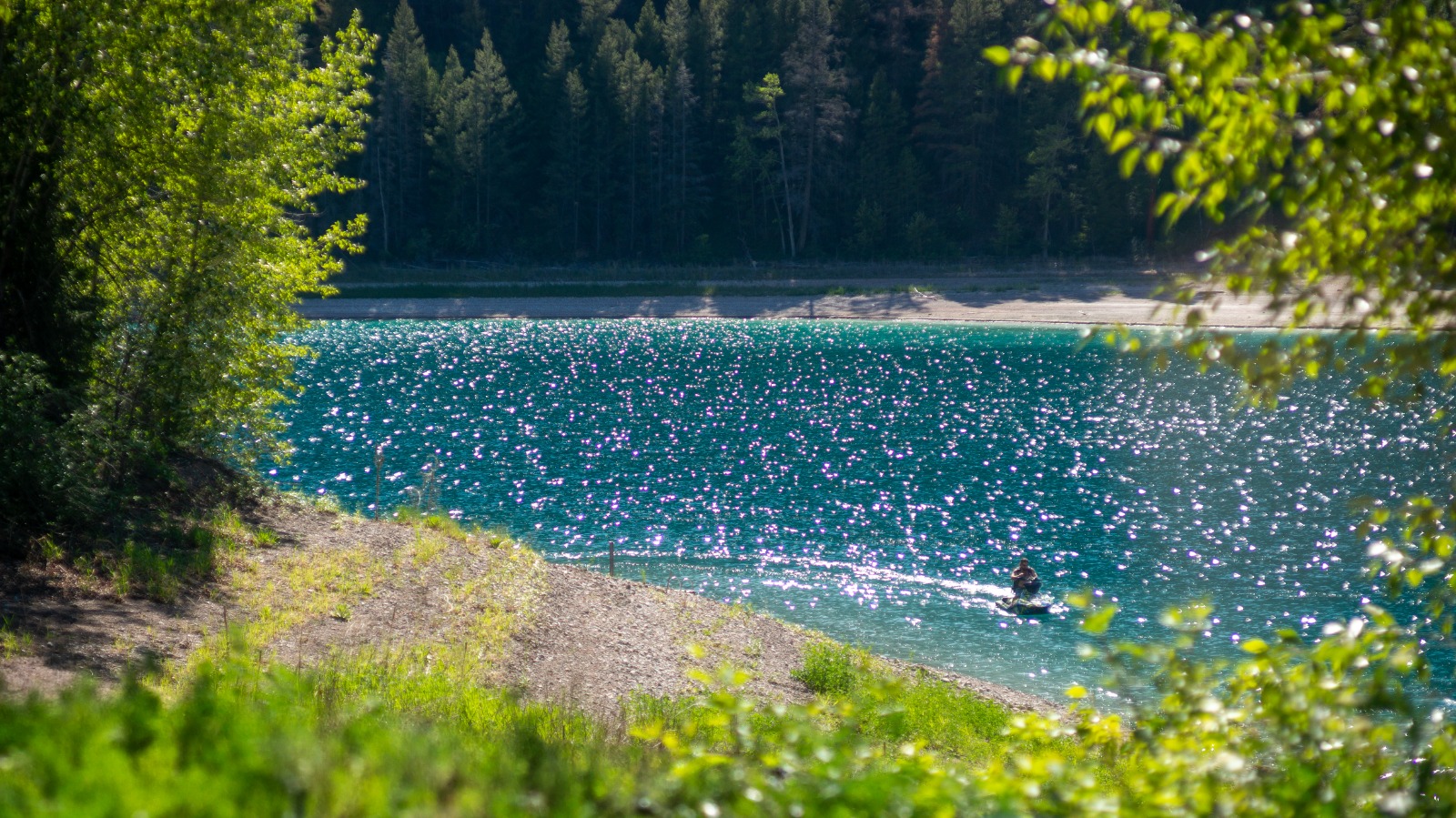 The lake, mid-summer.